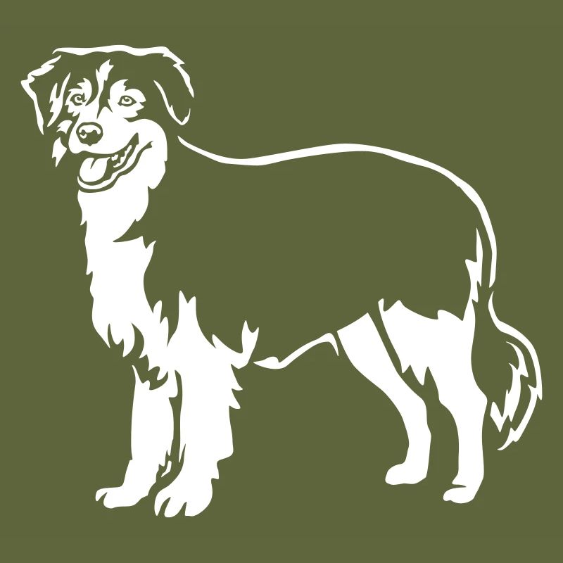 Australian Shepherd "Black Edition"