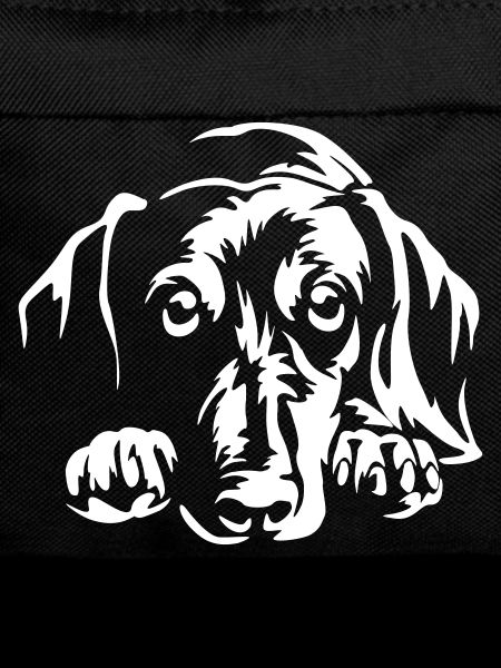 Dachshund "Black Edition"