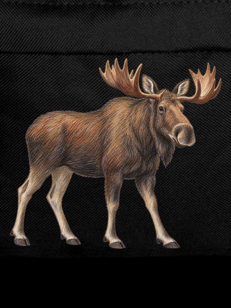 Majestätischer Elch