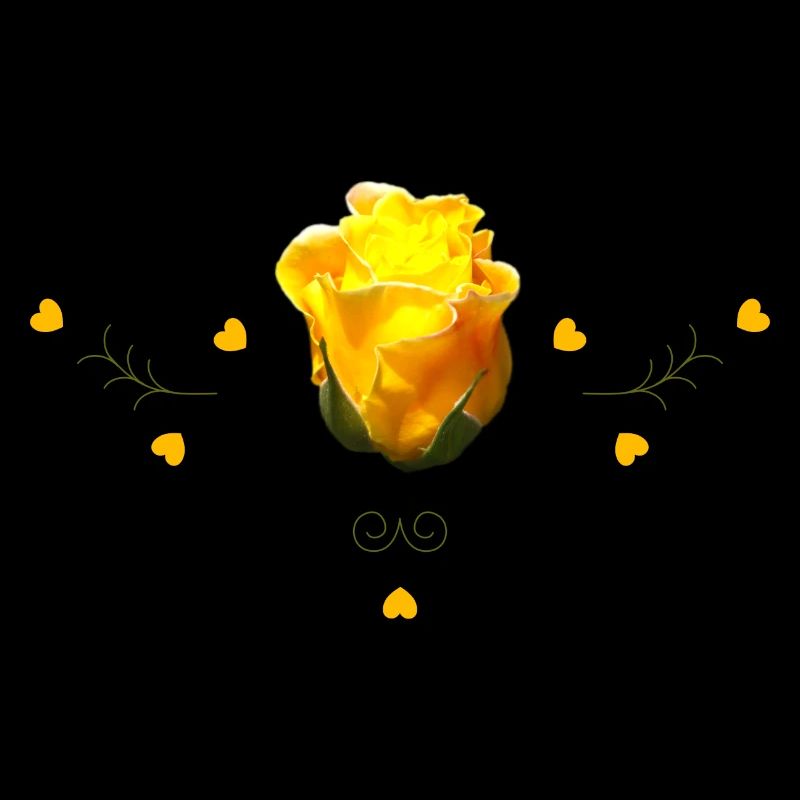 Rose Yellow Rose