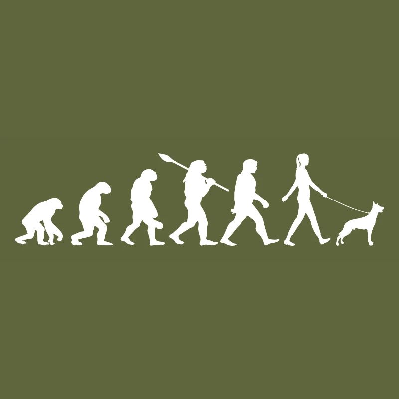 Évolution Drôle Chien de Berger Belge Malinois