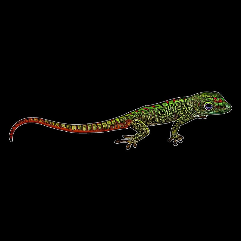 Madagascar Gecko