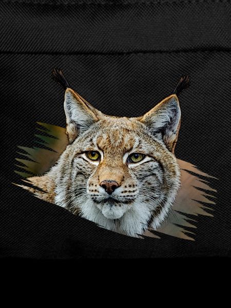 Luchs