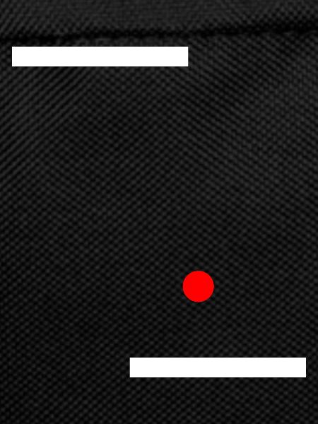 Pong