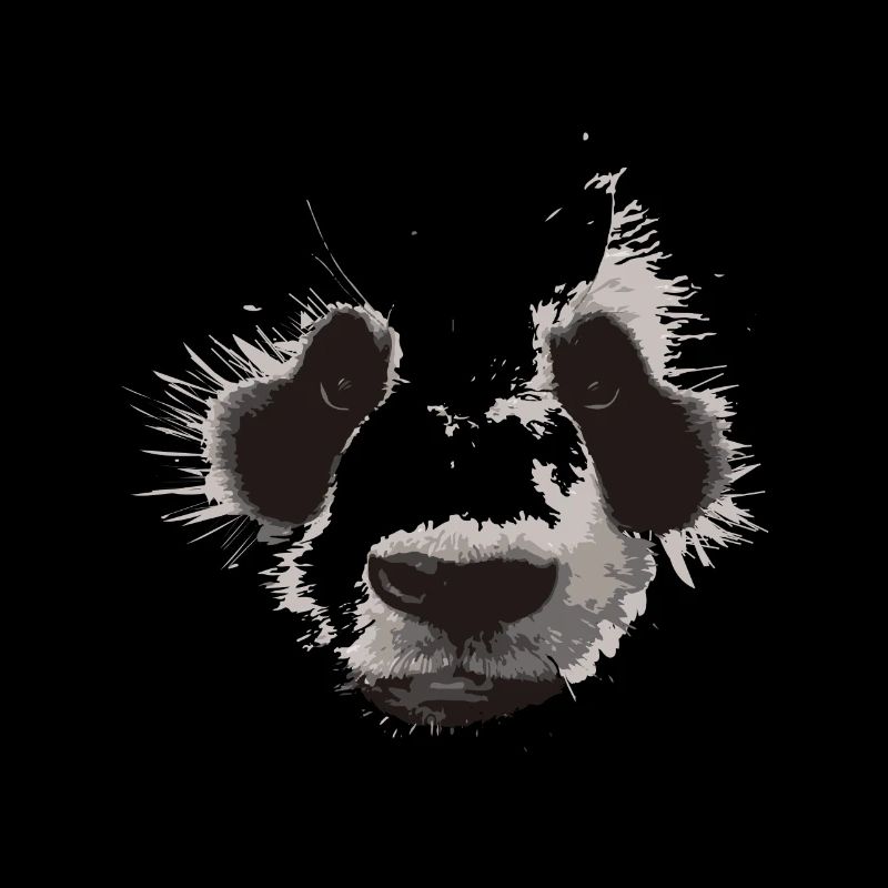 Panda Gesicht