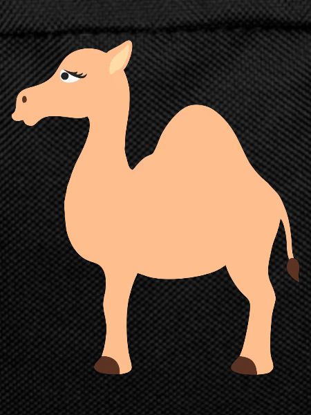 camel