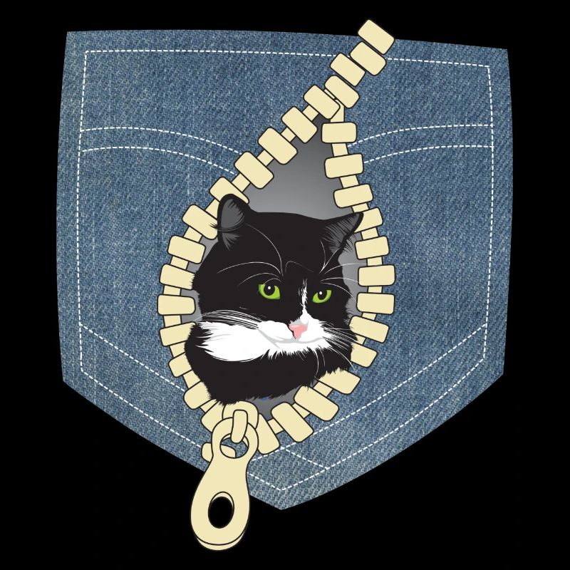 Katze Katzen