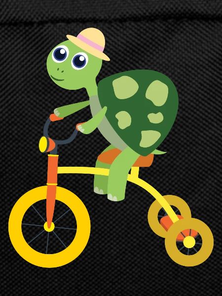 Turtle on tricycle