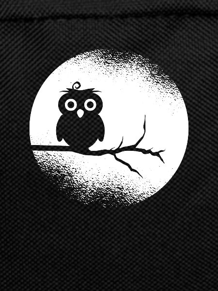 Eule Waldbewohner Eulen Vollmond