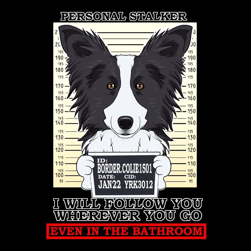 Border Collie Personal Stalker Suivez-vous
