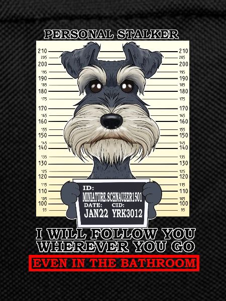 Personal Stalker Miniature Schnauzer