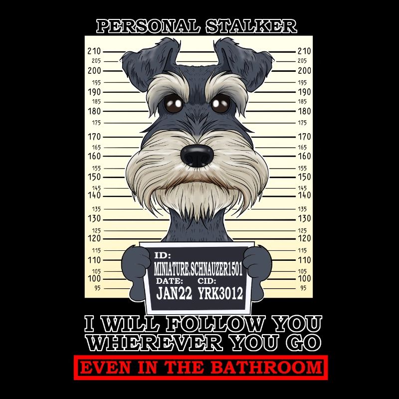 Personal Stalker Miniature Schnauzer