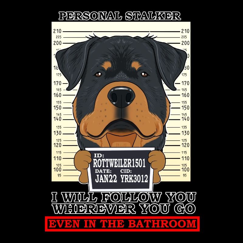 Rottweiler Personal Stalker Ill Suivez-vous