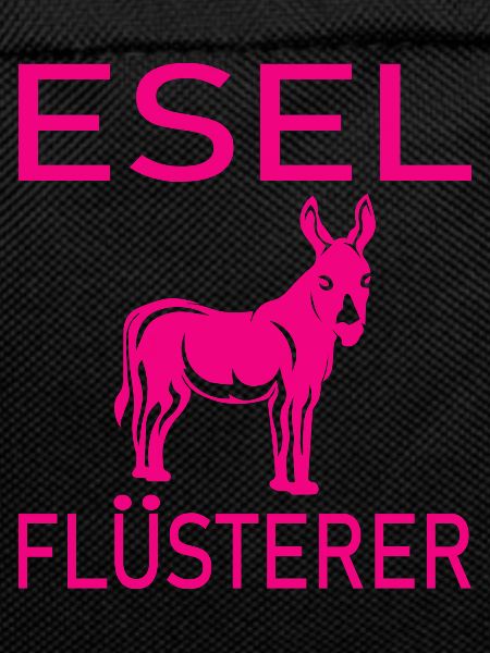 Donkey Esel