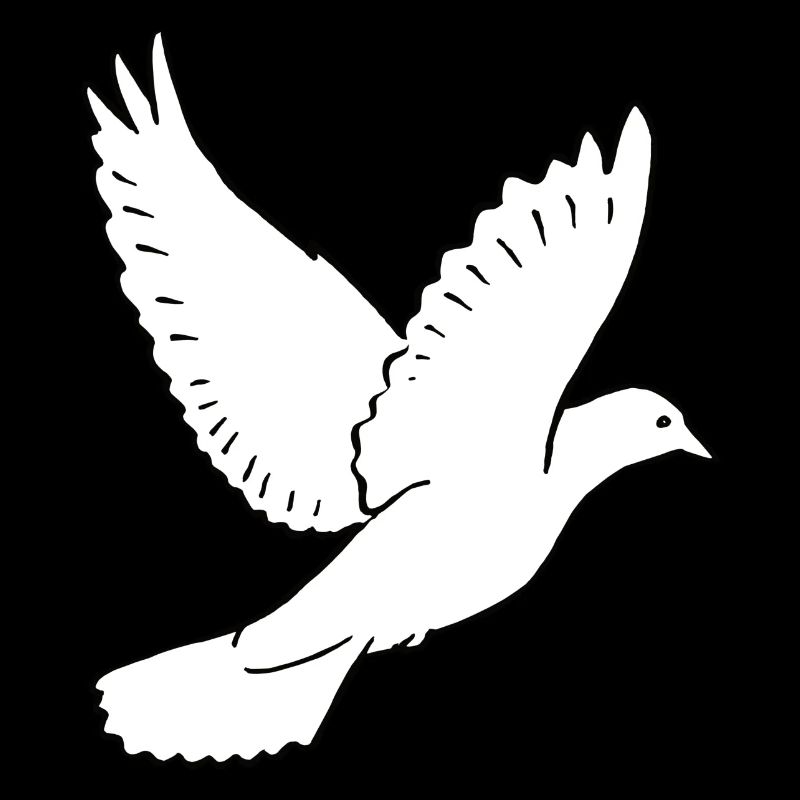 Weiße Taube 2, Friedenstaube, Frieden, Liebe