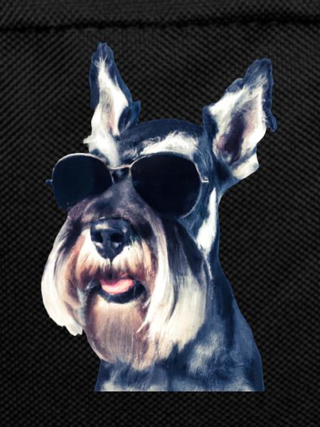 Miniature Schnauzer