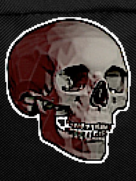 PIXEL SKULL
