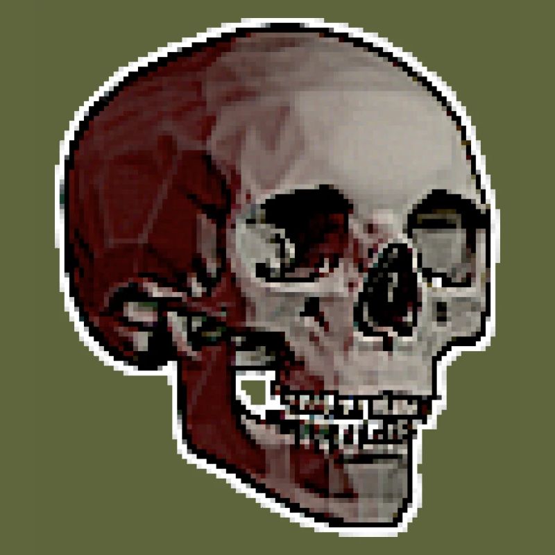PIXEL SKULL