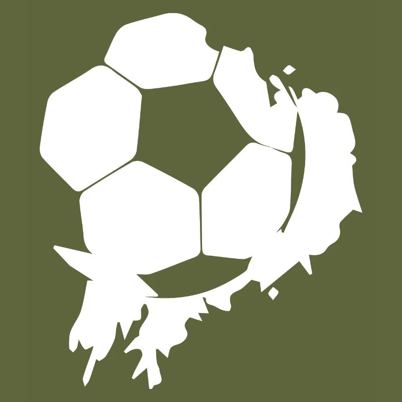 Fußball Soccer