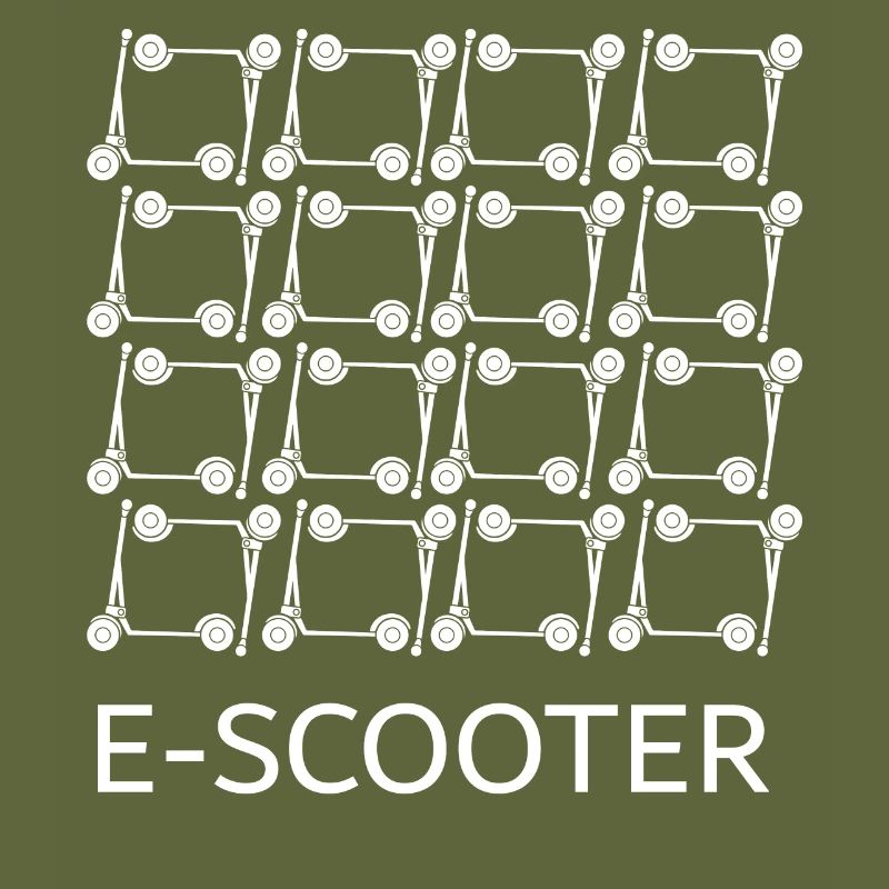 E-Scooter E-Roller Scooter