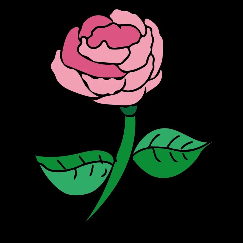Pink Rose