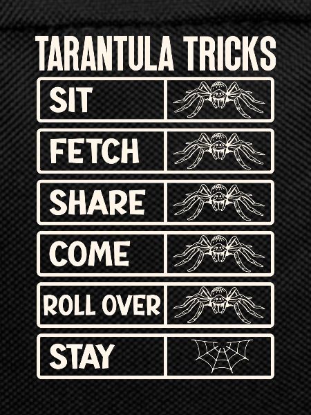 Tarantula breeder spider owner tarantula