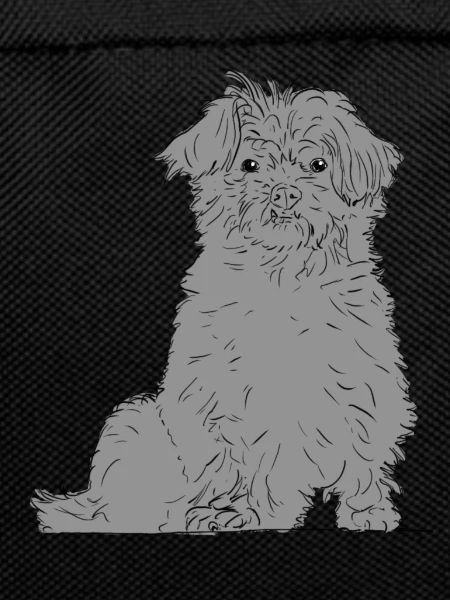 Abenteuerlustiger Terrier