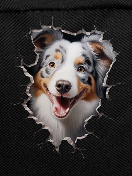 Australian Shepherd Owner - Perfect Aussie