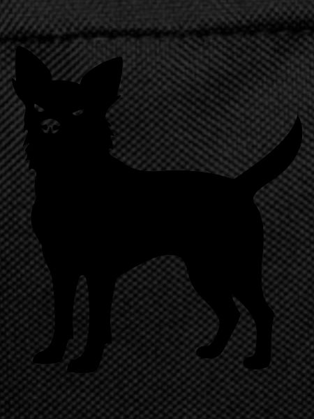 Chihuahua Dog