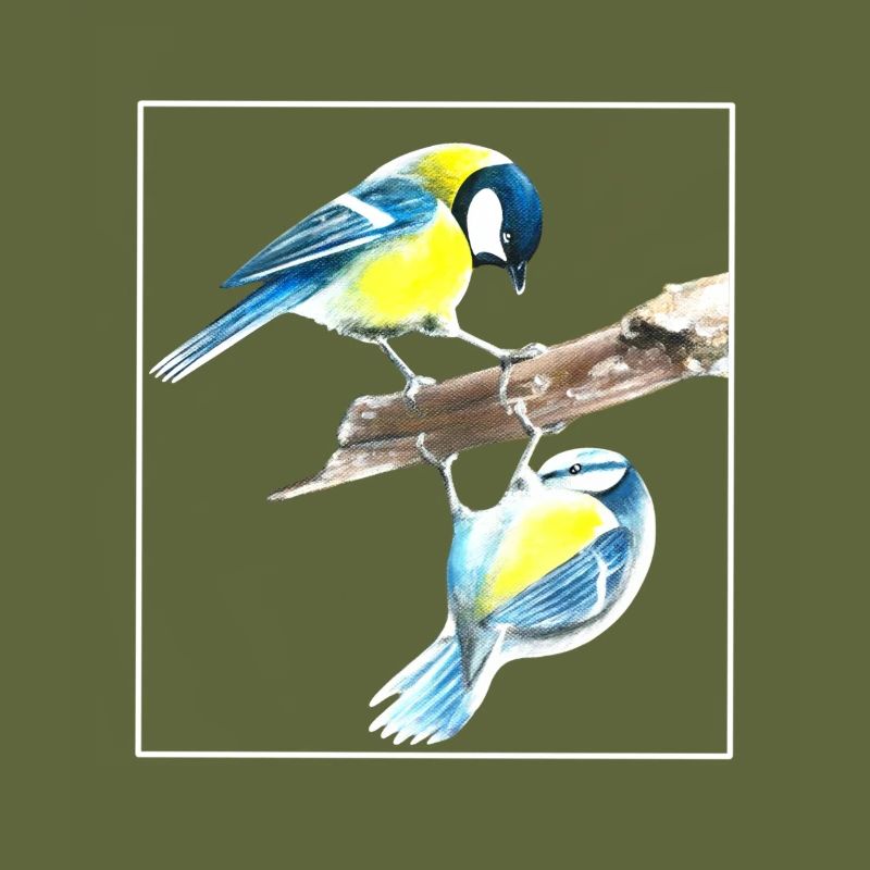 Birds