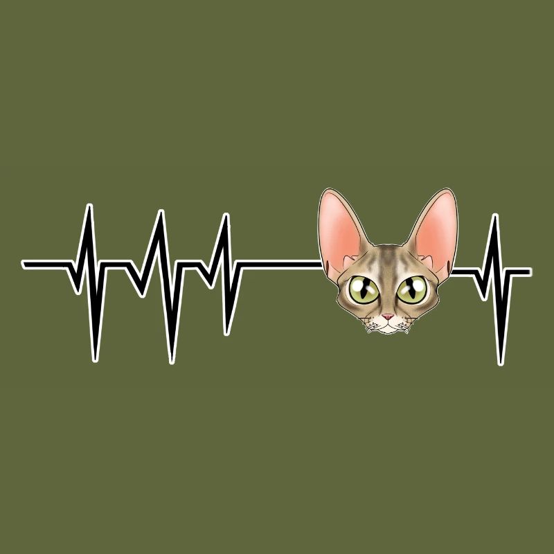 Cat Heartbeat I Devon Rex Cat