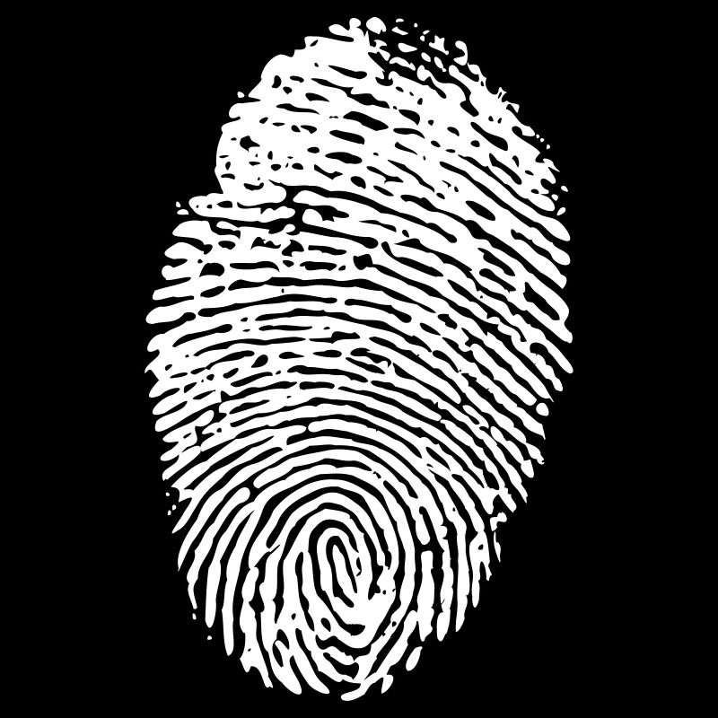fingerprint plain invert