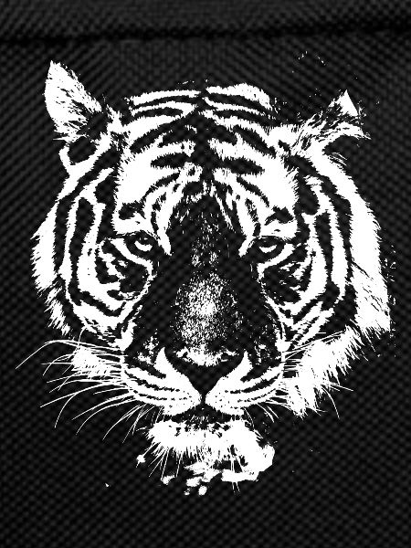 tigre