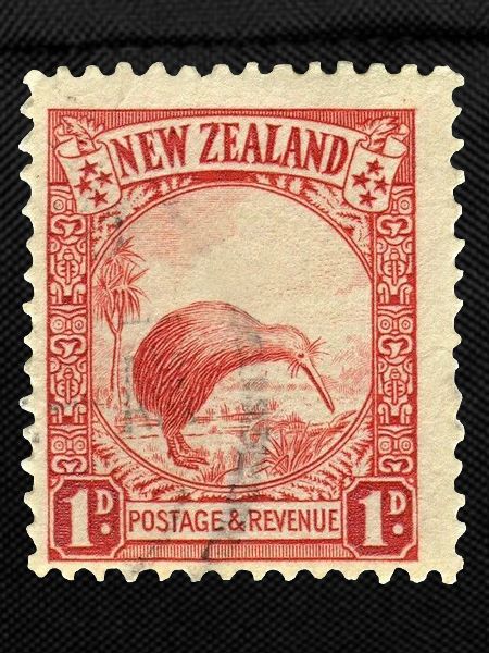 Kiwi stamp