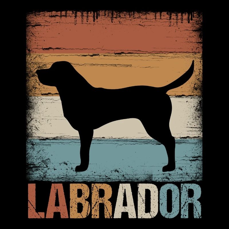 Labrador