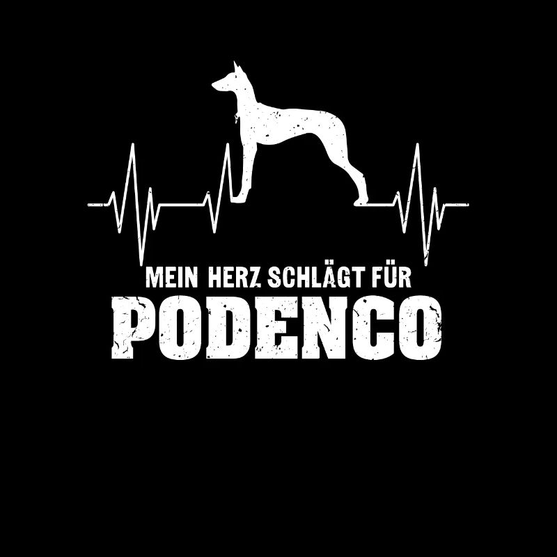 Podenco Hunderasse Spanische Windhunde Liebhaber