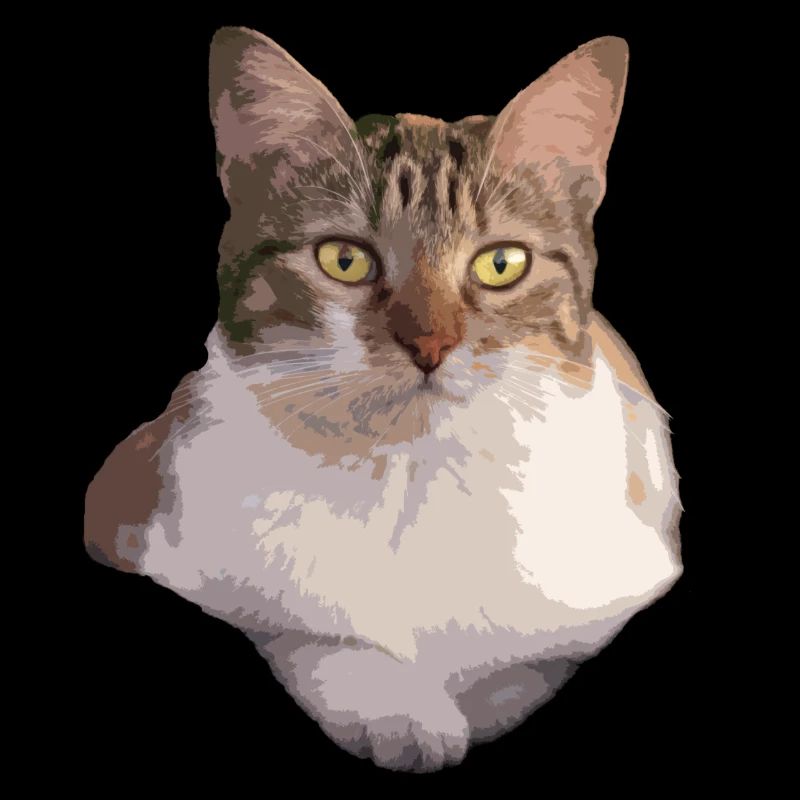 the cat