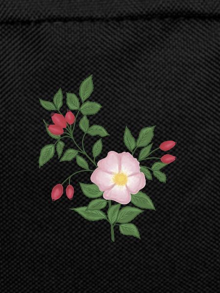 Wild rose and rose hips
