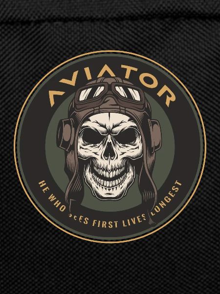 Aviator skull