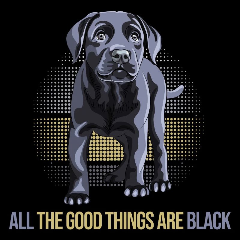 chien labrador noir chien élevage labrador noir