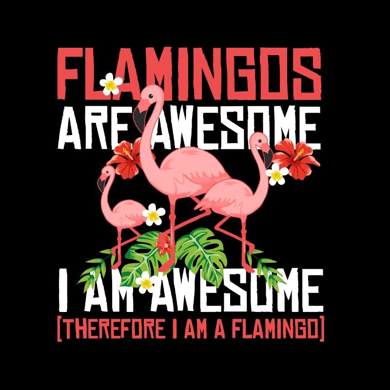Flamingos are super bird pink pink long legs