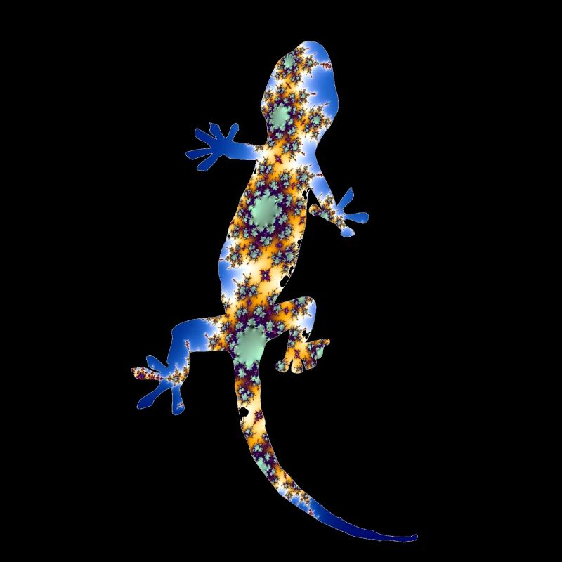 Gecko Fractal
