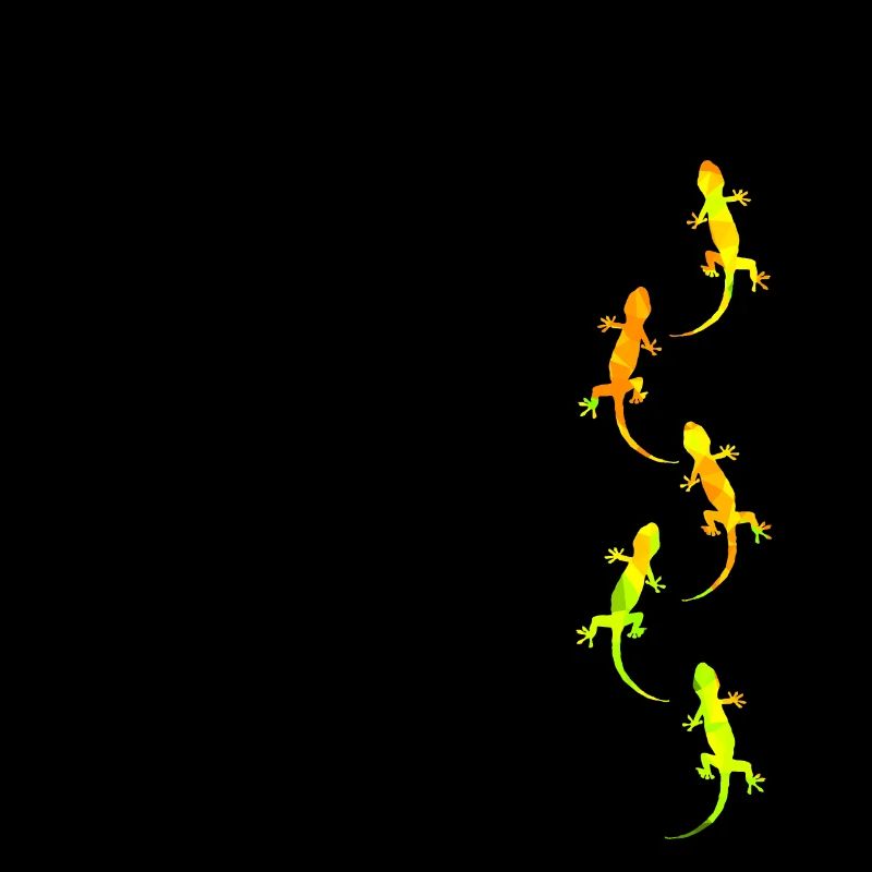 Geckos