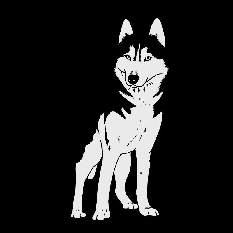 Husky Hund
