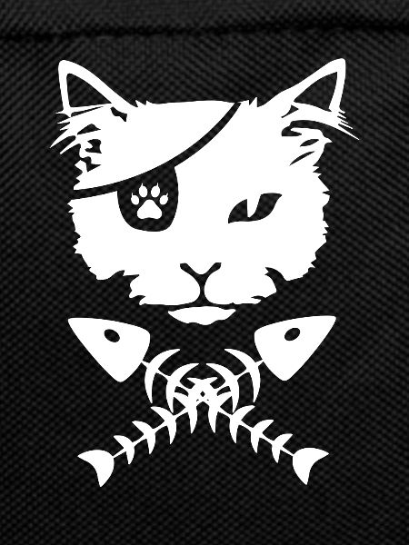 Pirate cat