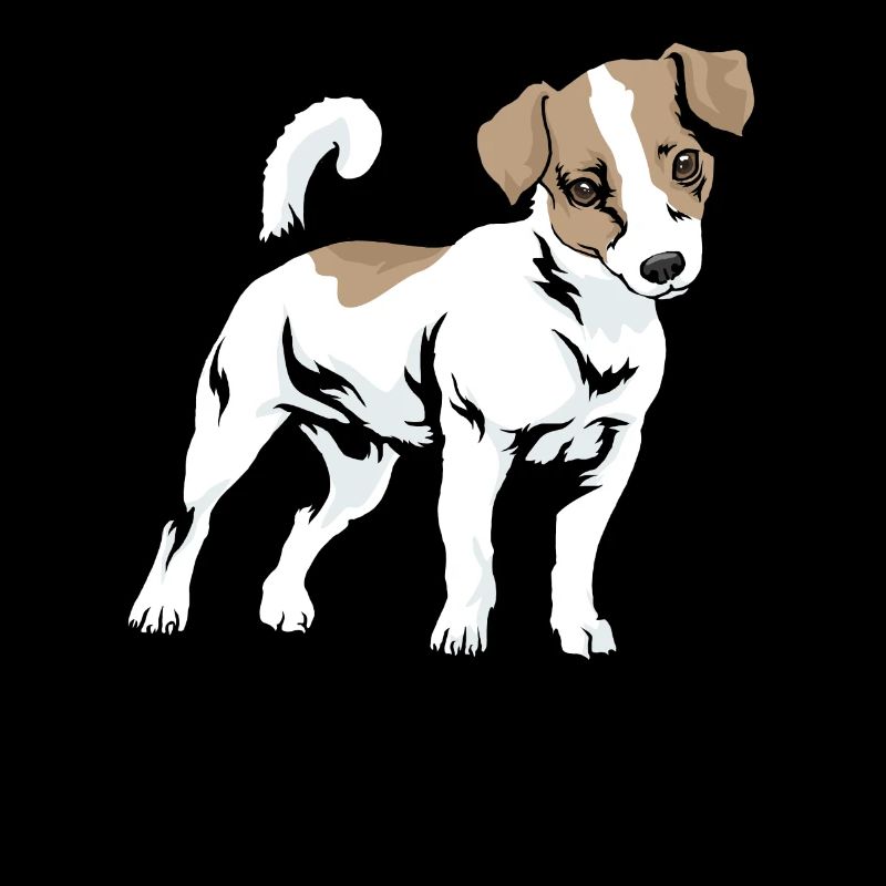 Jack Russel Terrier