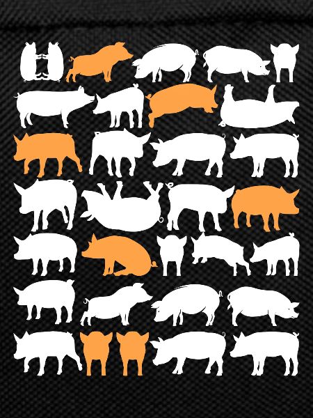 Farm Farm Gift · Pigs