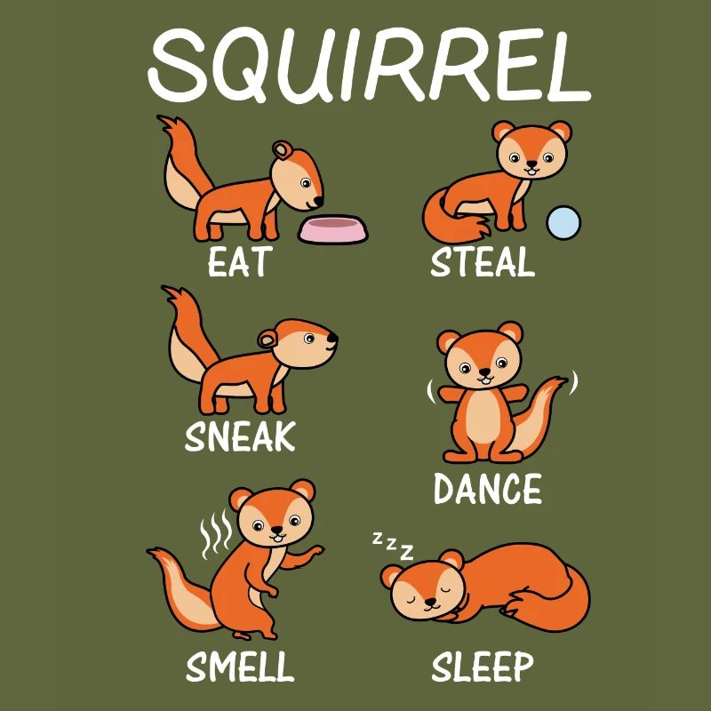 squirrel