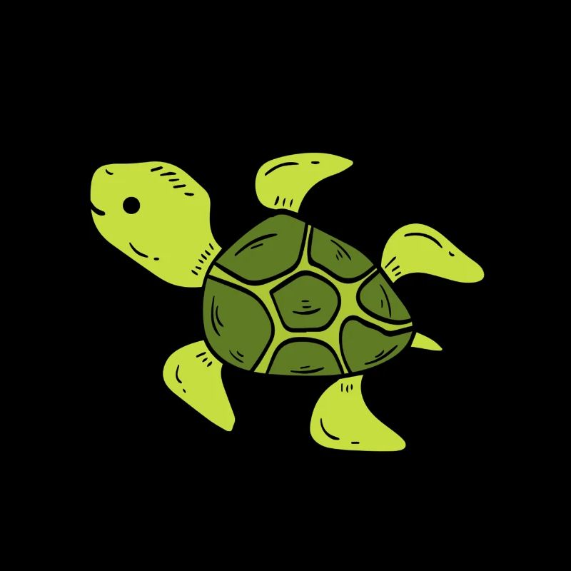 turtle