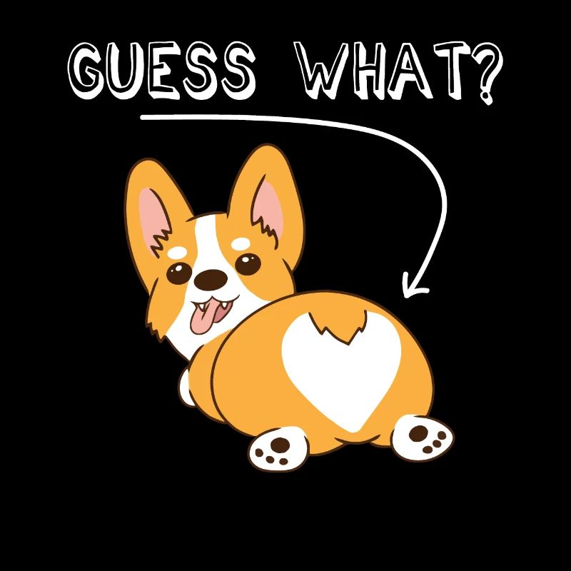 Corgi